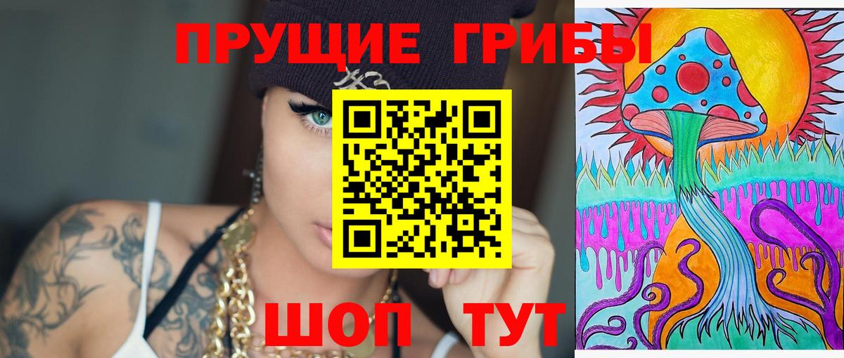 Галлюциногенные грибы Psilocybe  Вход с VPN  Шебекино 